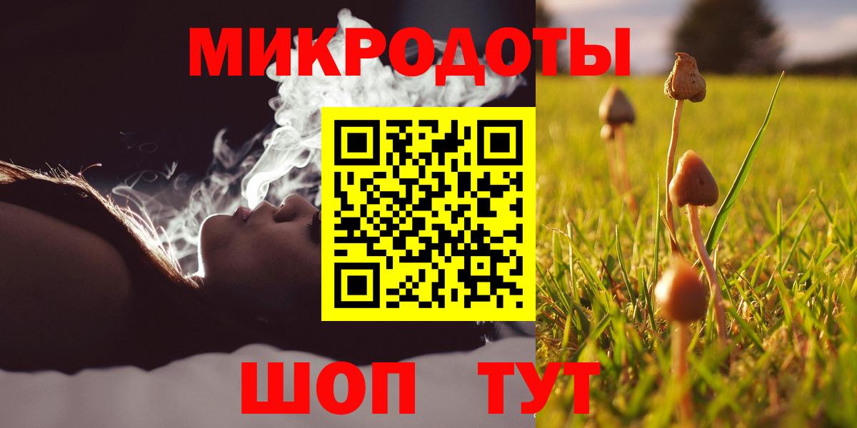 Псилоцибиновые грибы Cubensis Архангельск